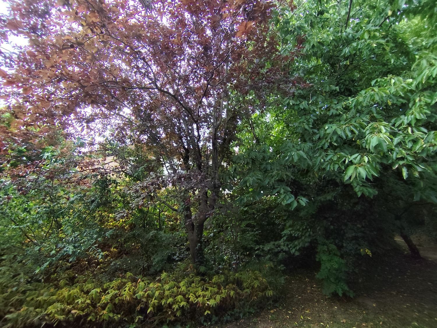 Maison à vendre, 166m², Craponne