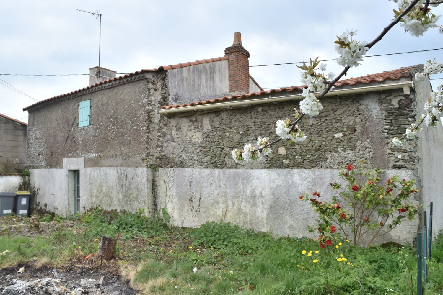 Maison à vendre, 50m², La Limouzinière