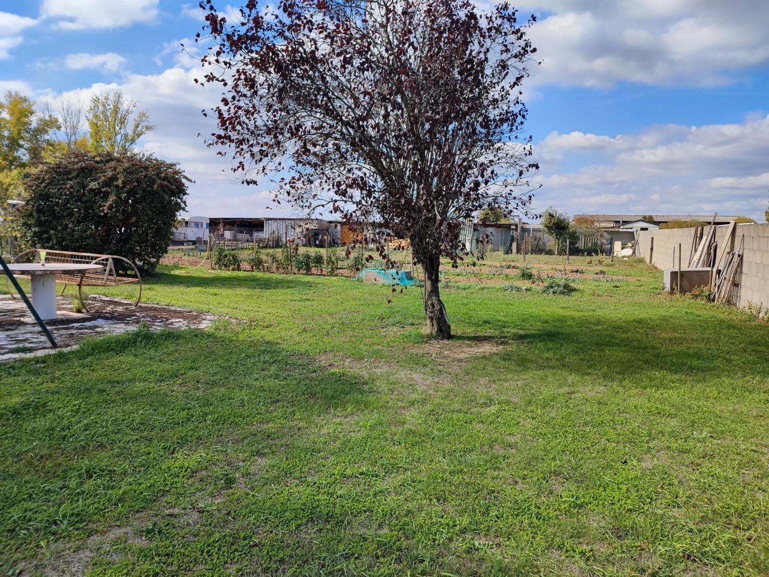 Maison à vendre, 115m², Montreuil-Bellay