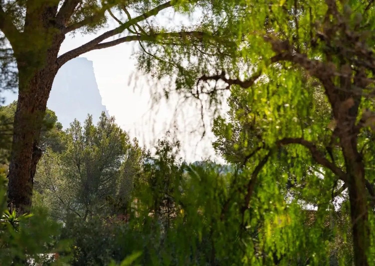 Maison à vendre, 218m², Cassis