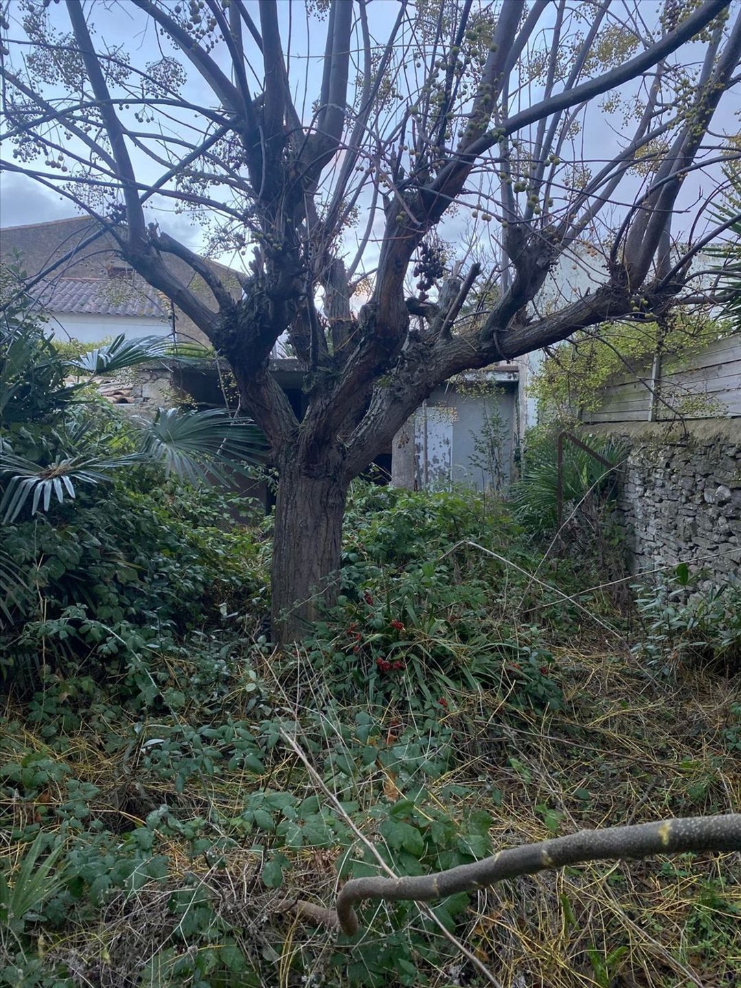 Maison à vendre, 126m², Villemoustaussou