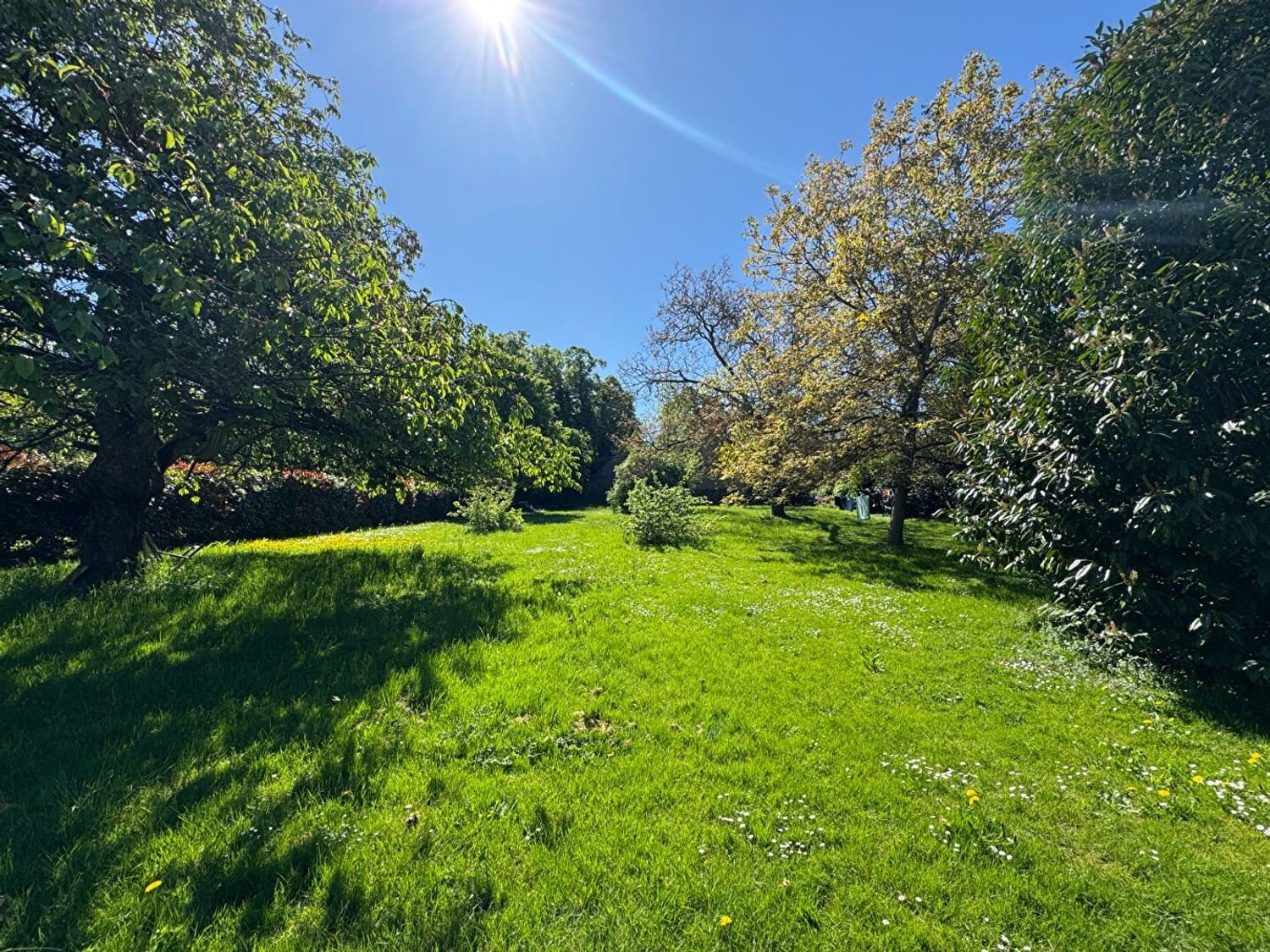 Maison à vendre, 350m², Garancières