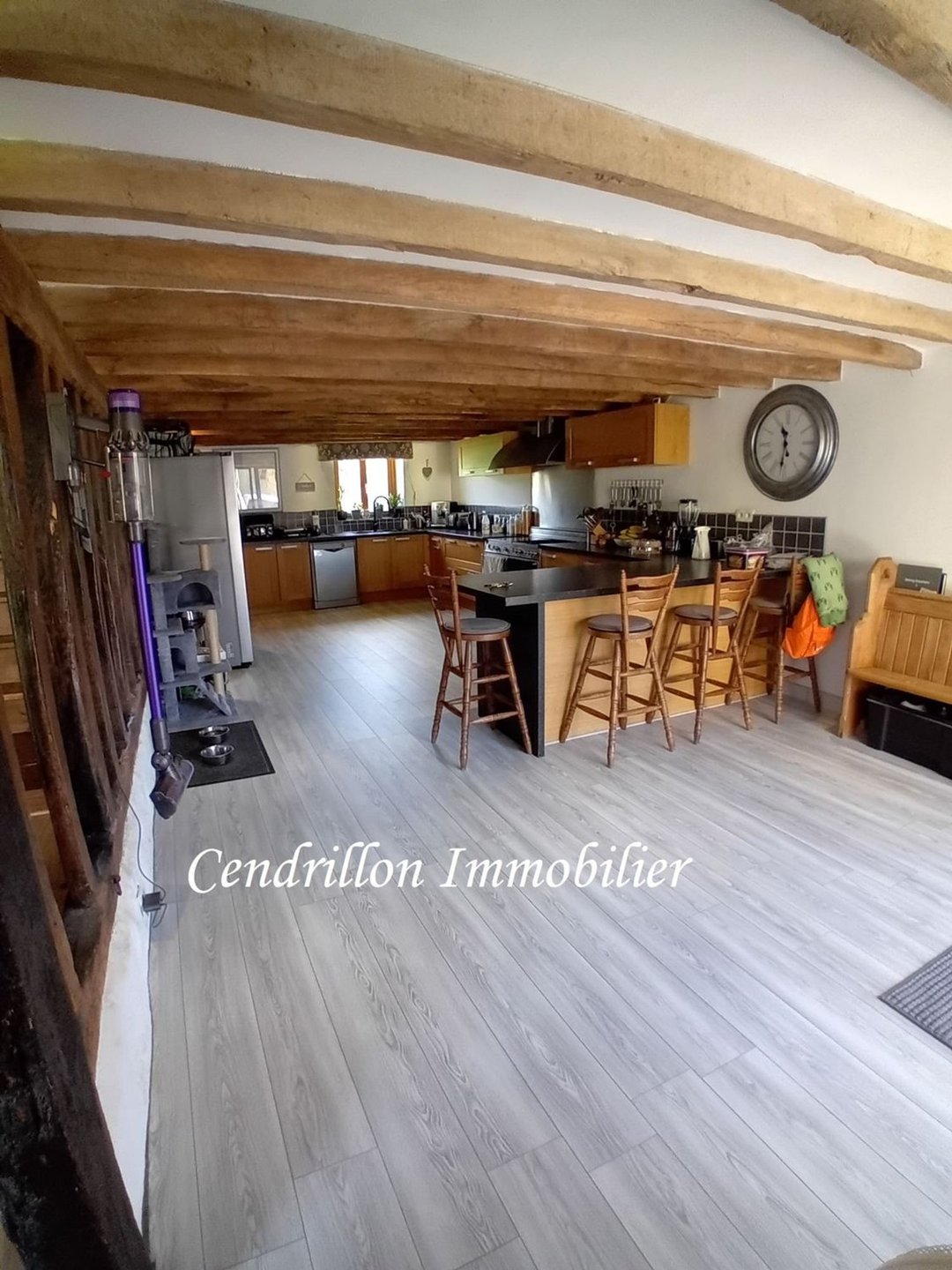 Maison à vendre, 473m², Janaillat