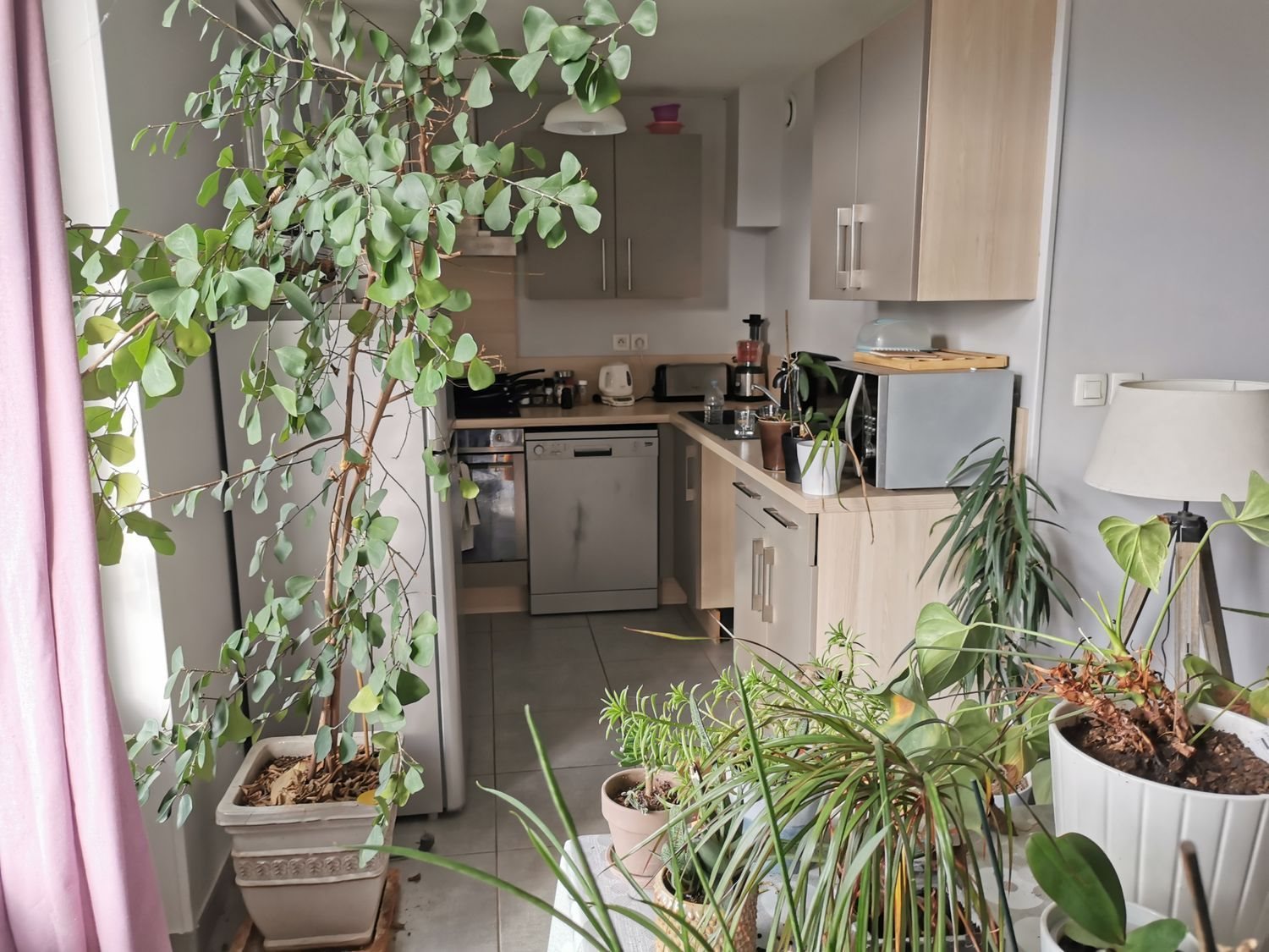 Appartement à vendre, 61m², Roussillon