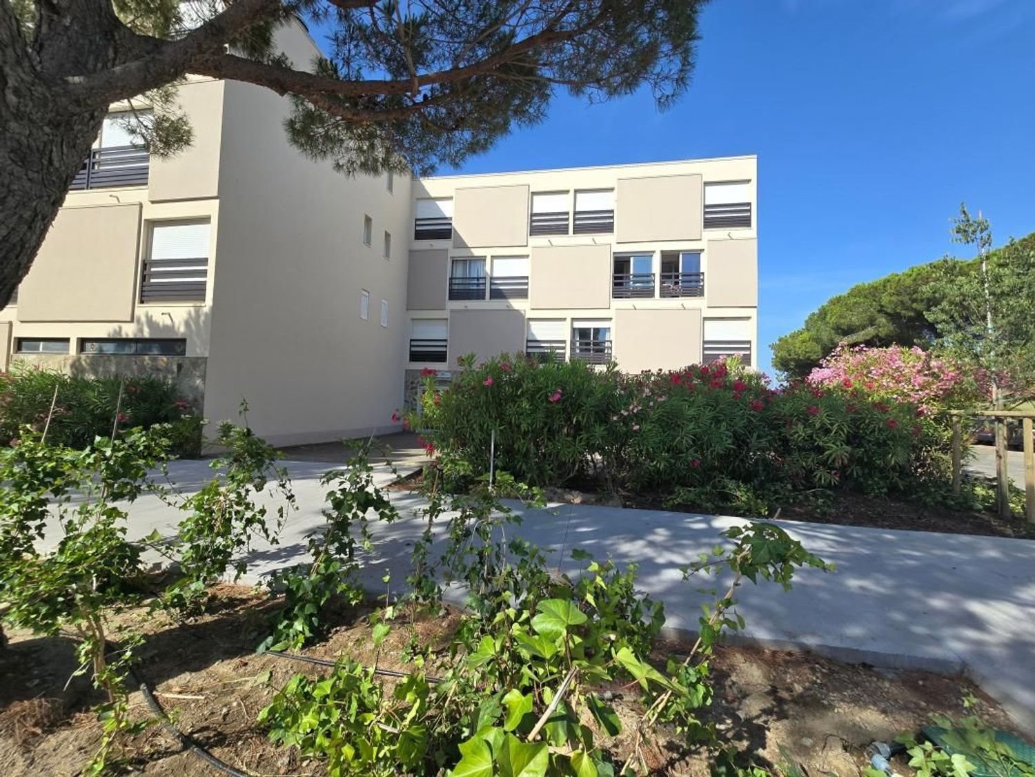 Appartement à vendre, 25m², Saint-Cyprien