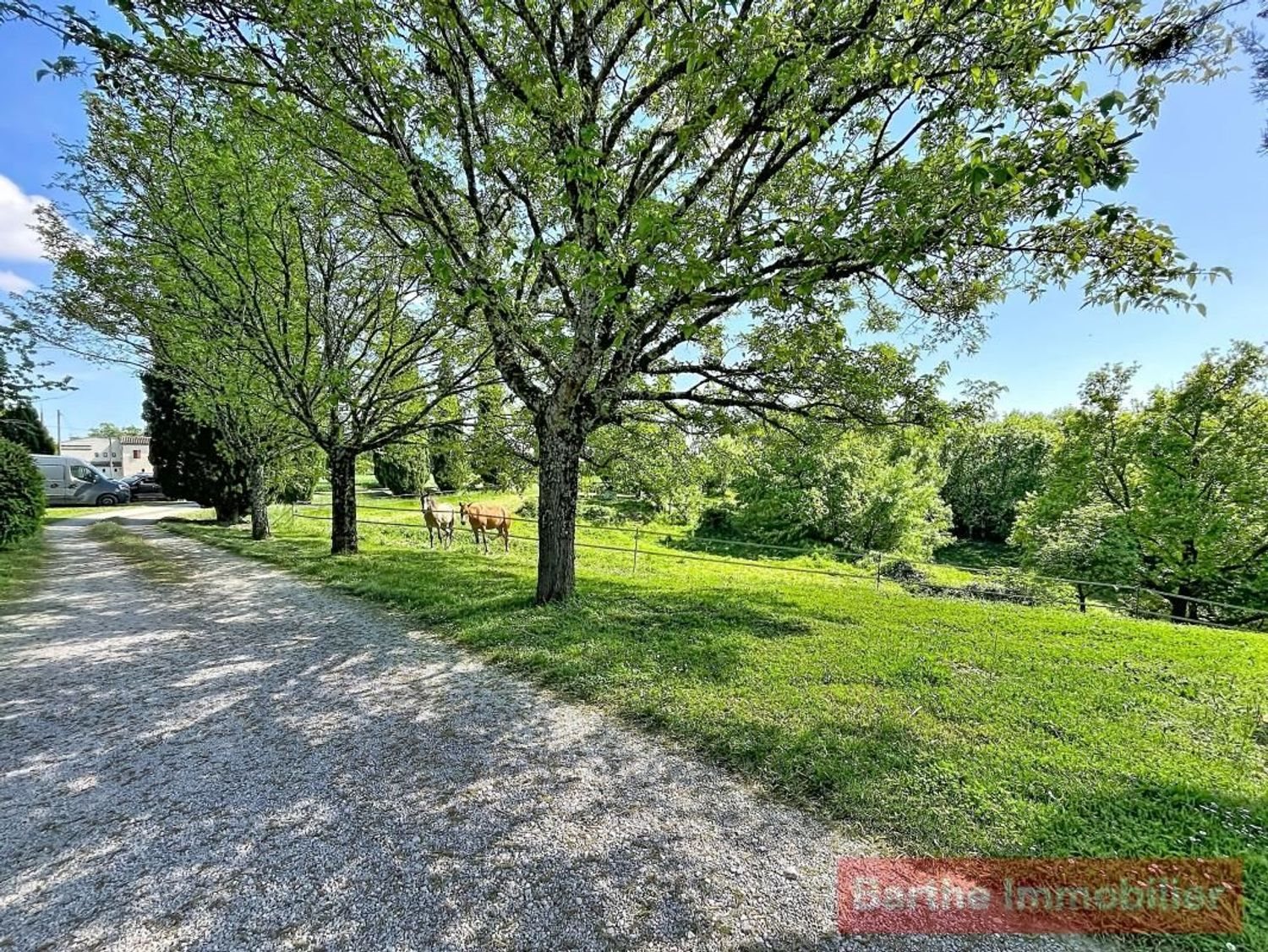 Maison à vendre, 300m², Lisle-sur-Tarn