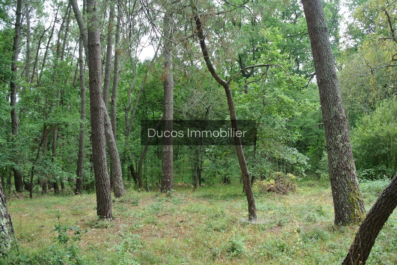 Maison à vendre, 130m², Cocumont
