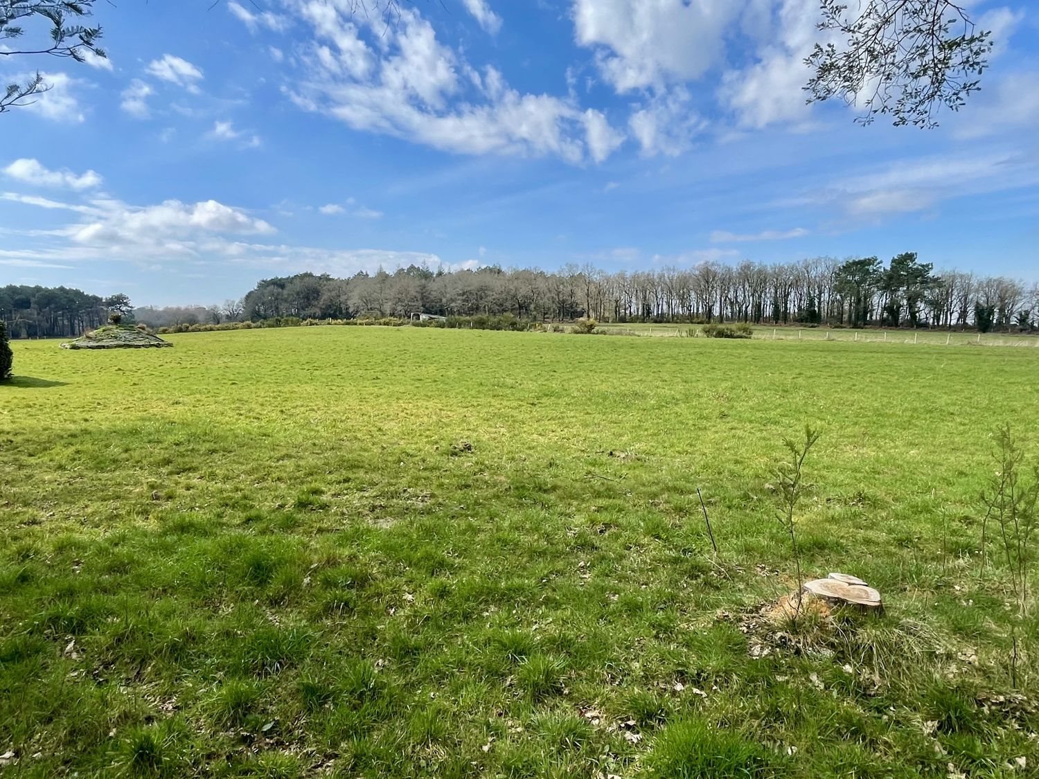 Maison à vendre, 170m², Theix