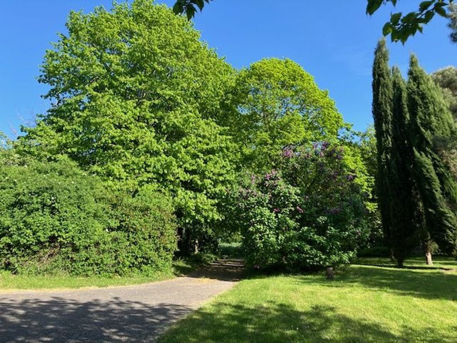 Maison à vendre, 224m², Mirepoix
