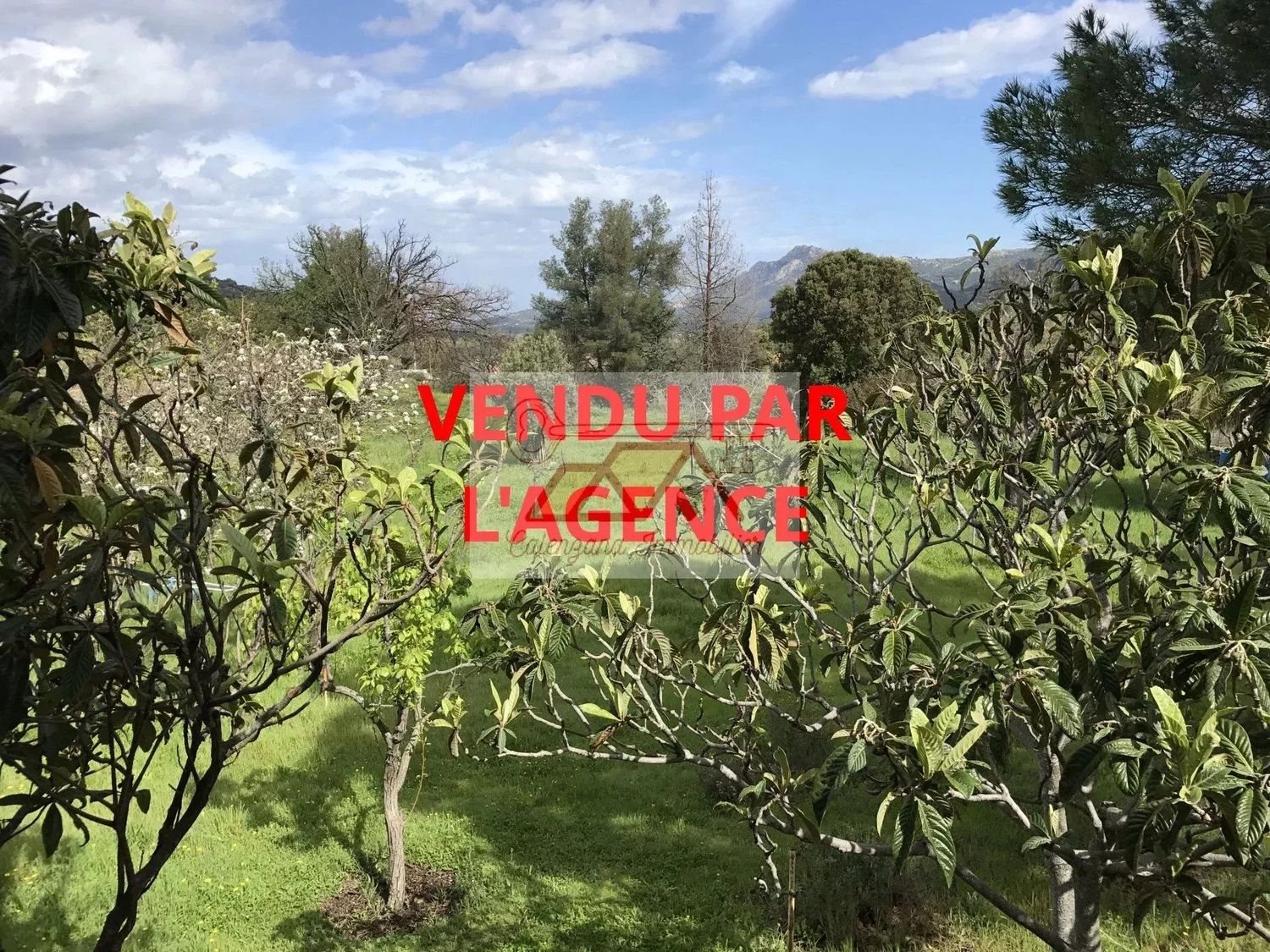 Maison à vendre, 114m², Calvi