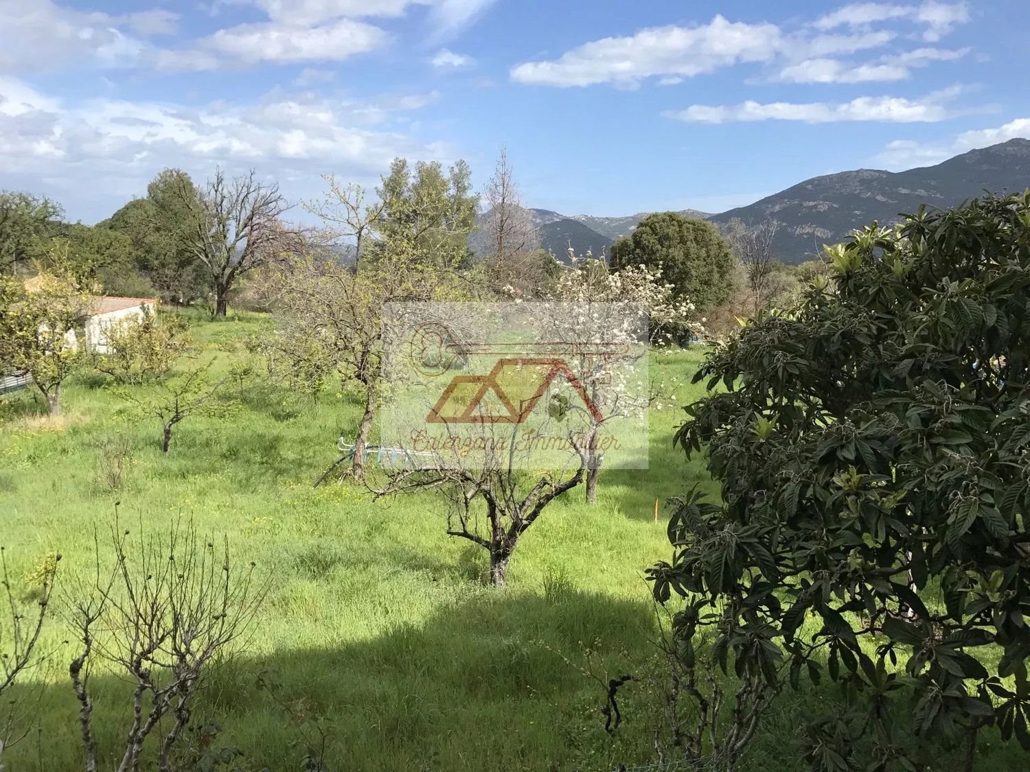 Maison à vendre, 114m², Calvi