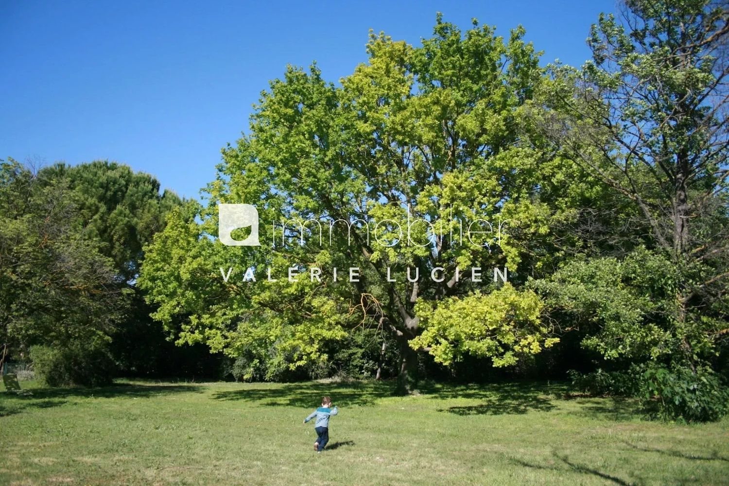 Maison à louer, 300m², Graveson