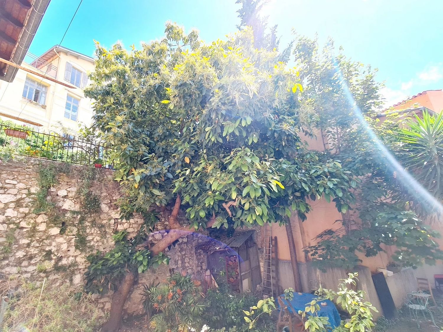 Appartement à louer, 38m², Nice