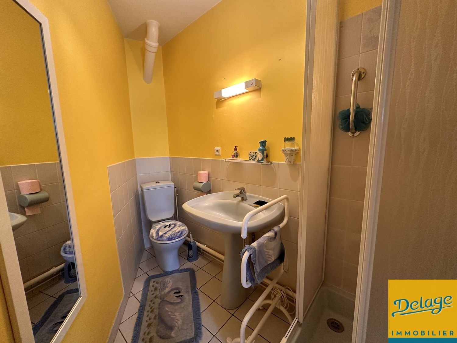 Appartement à vendre, 129m², Limoges