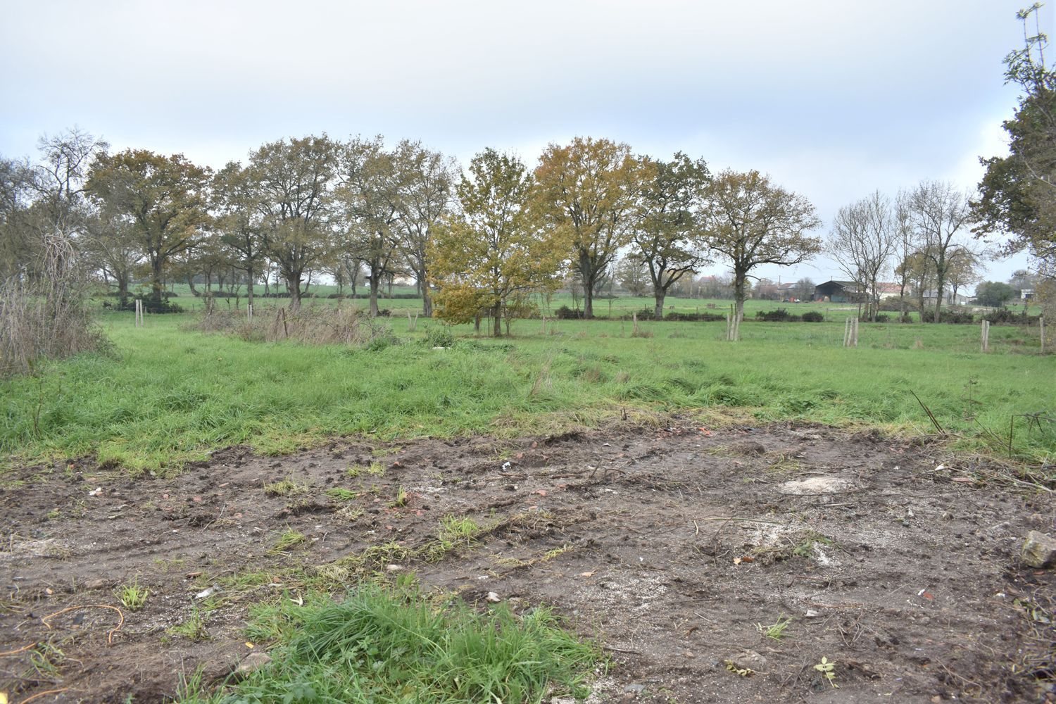 Maison à vendre, 50m², Saint-Lumine-de-Clisson