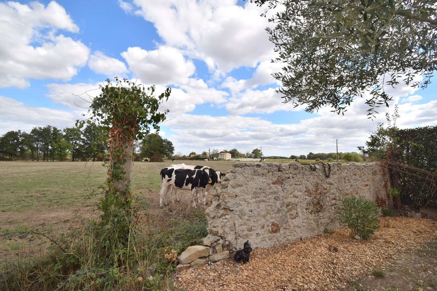 Maison à vendre, 85m², Aigrefeuille-sur-Maine