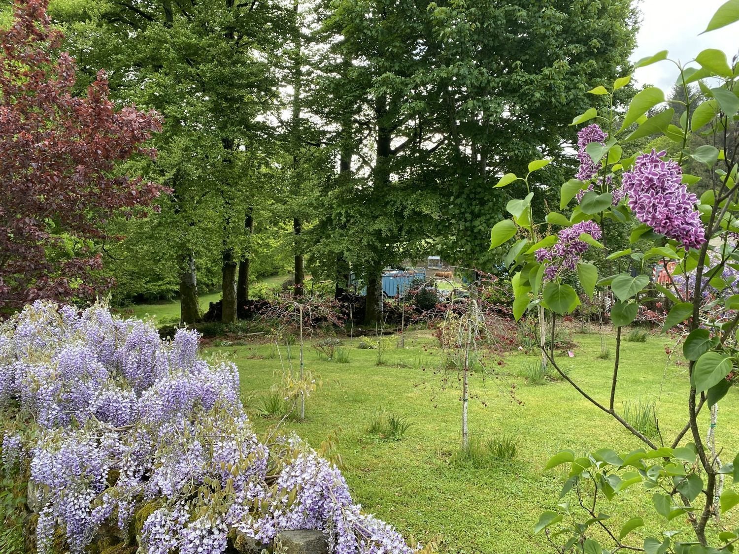 Maison à vendre, 140m², Nedde