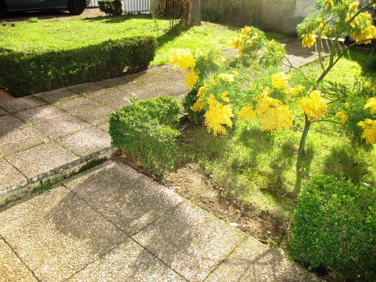 Maison à vendre, 150m², Pérols