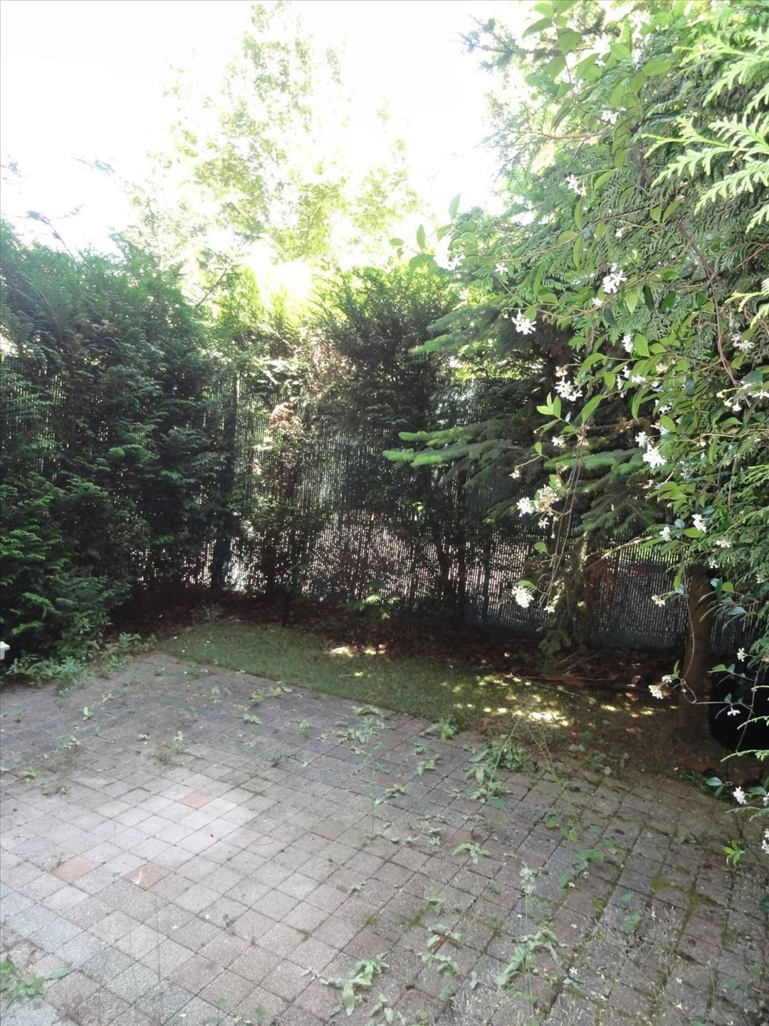 Appartement à louer, 73m², Neuilly-sur-Seine