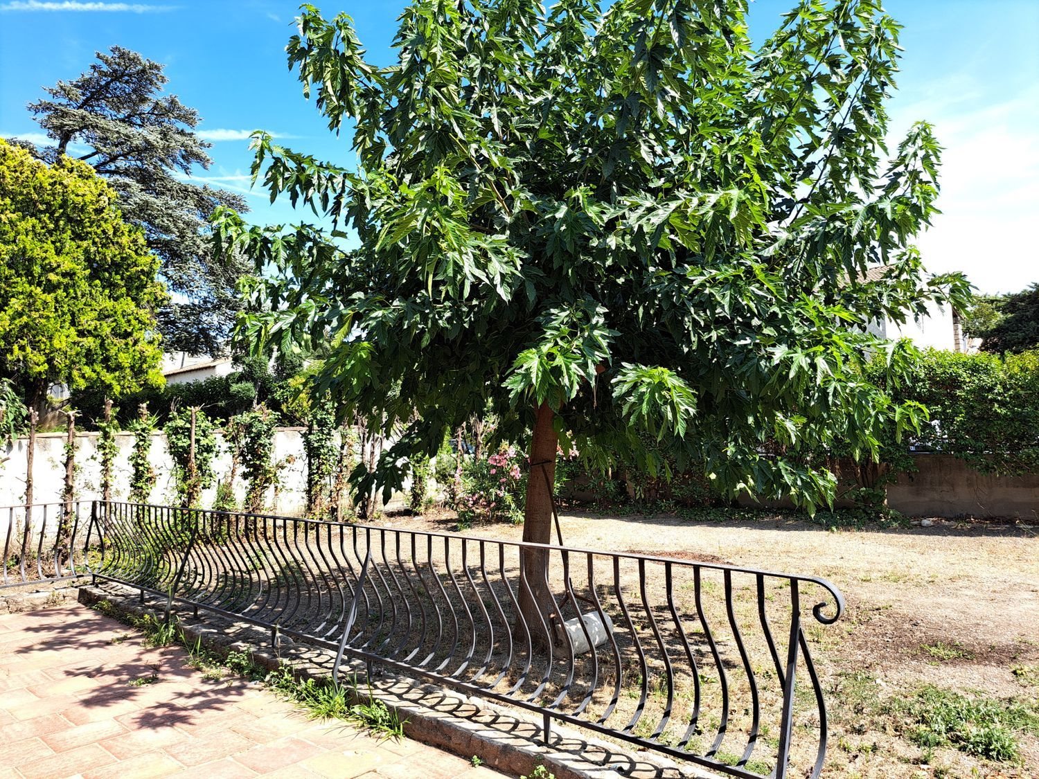 Maison à vendre, 100m², Saint-Martin-de-Crau