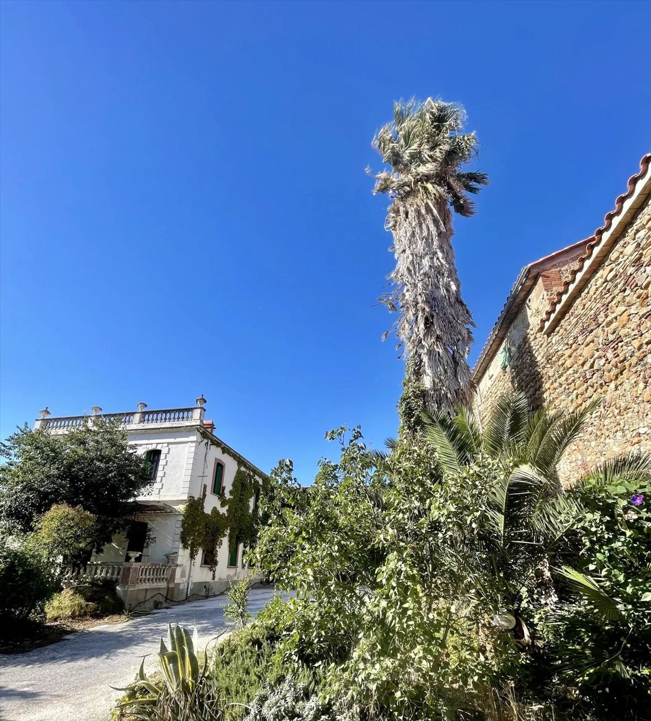 Maison à vendre, 250m², Pollestres