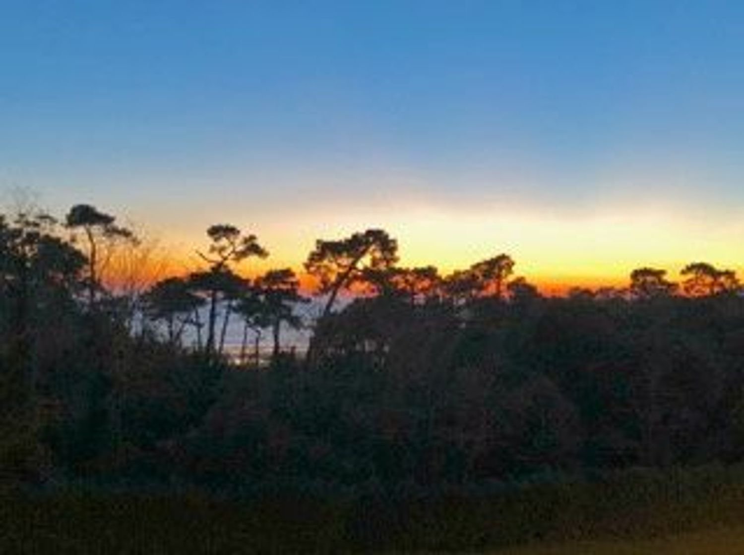 Appartement à vendre, 53m², Royan