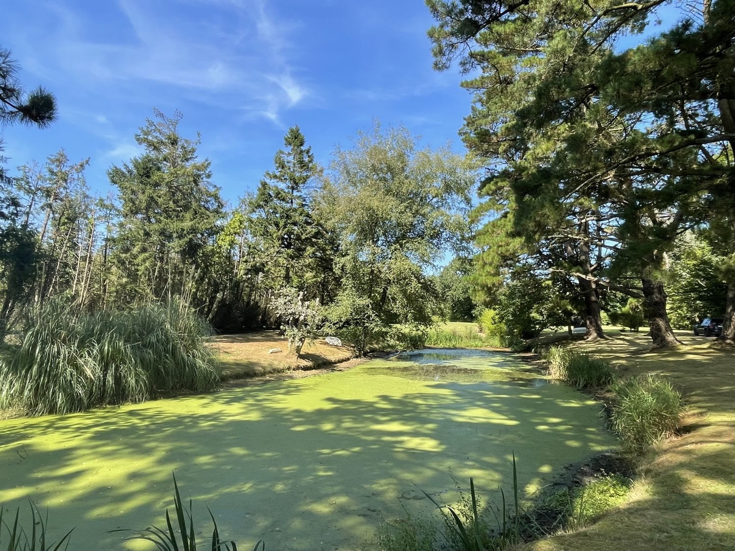 Maison à vendre, 156m², Lannion