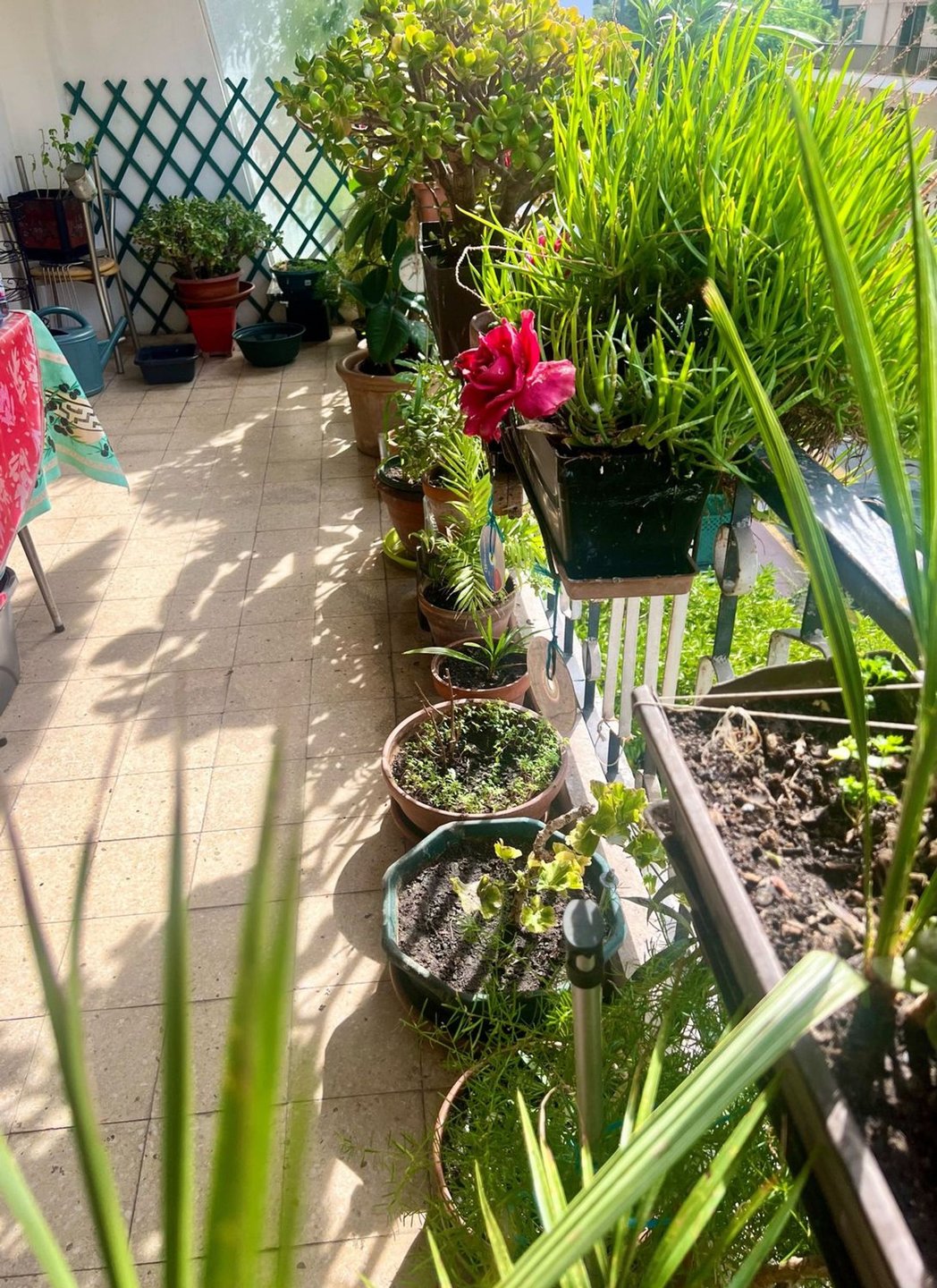 Appartement à vendre, 91m², Le Cannet