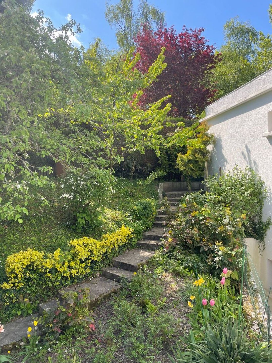 Maison à vendre, 166m², Jouy-en-Josas
