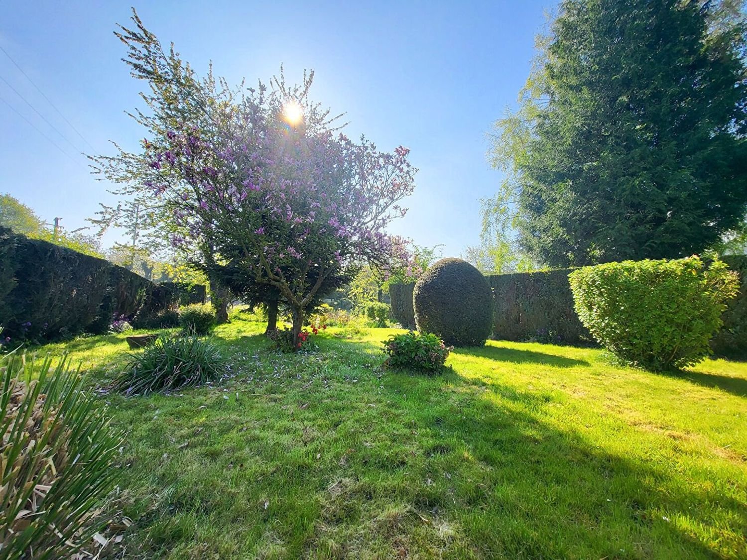 Maison à vendre, 125m², Honnechy