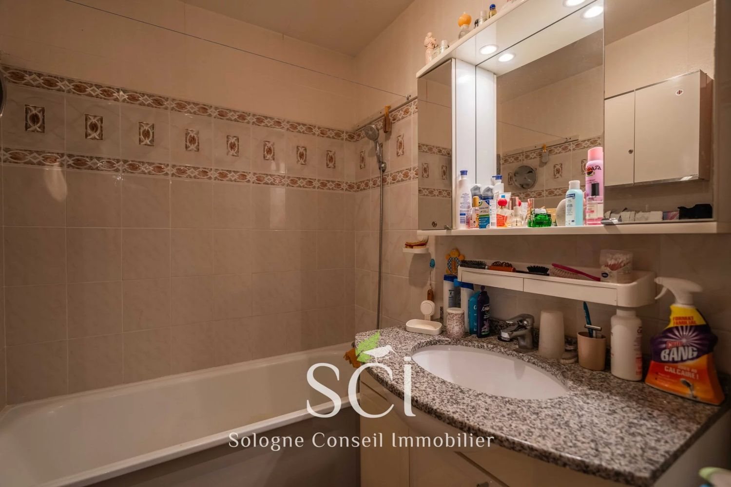 Maison à vendre, 106m², Chaon