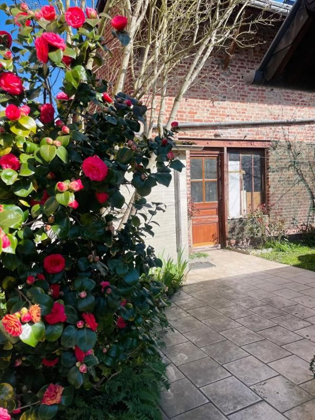 Maison à vendre, 150m², Pont-l'Evêque