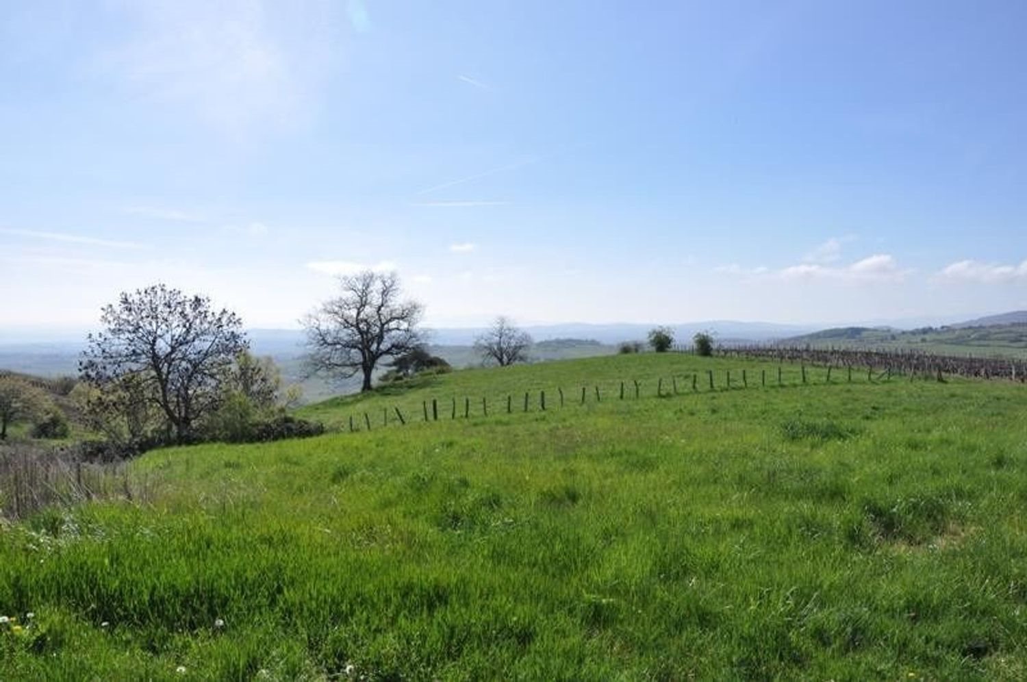 Maison à vendre, 200m², Montmelas-Saint-Sorlin