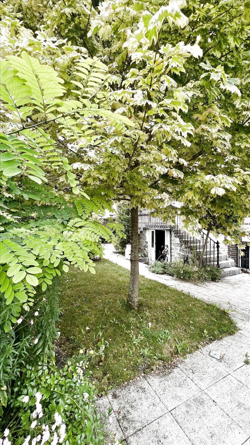 Maison à vendre, 242m², Sainte-Savine