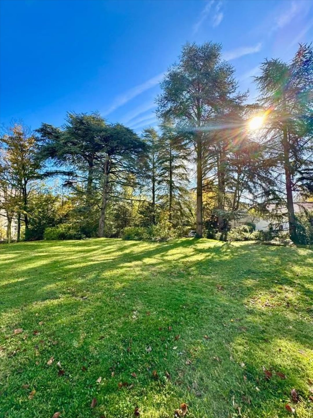 Appartement à vendre, 131m², Caluire-et-Cuire