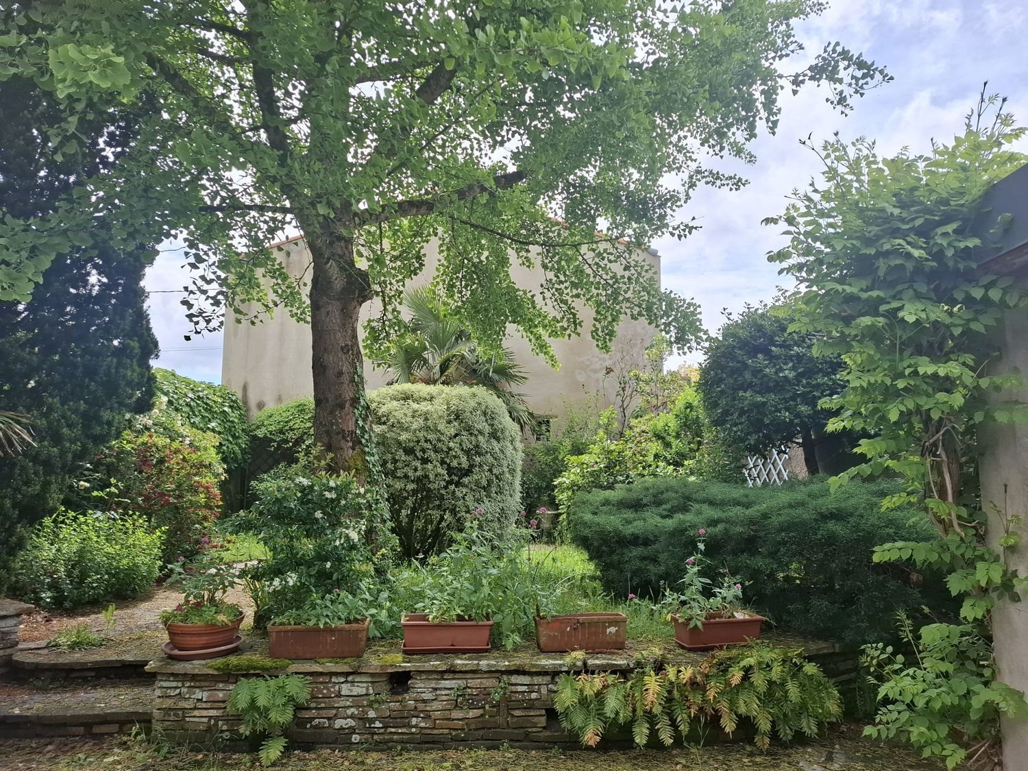 Maison à vendre, 243m², Machecoul