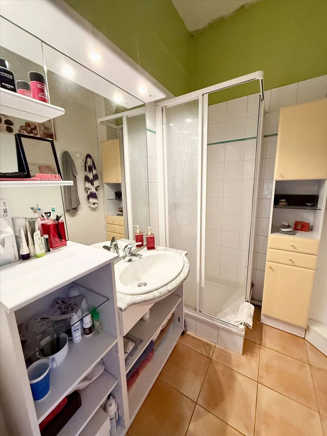 Appartement à vendre, 50m², Grenoble