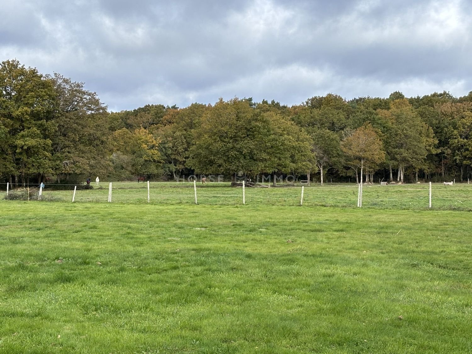 Maison à vendre, 110m², Blain