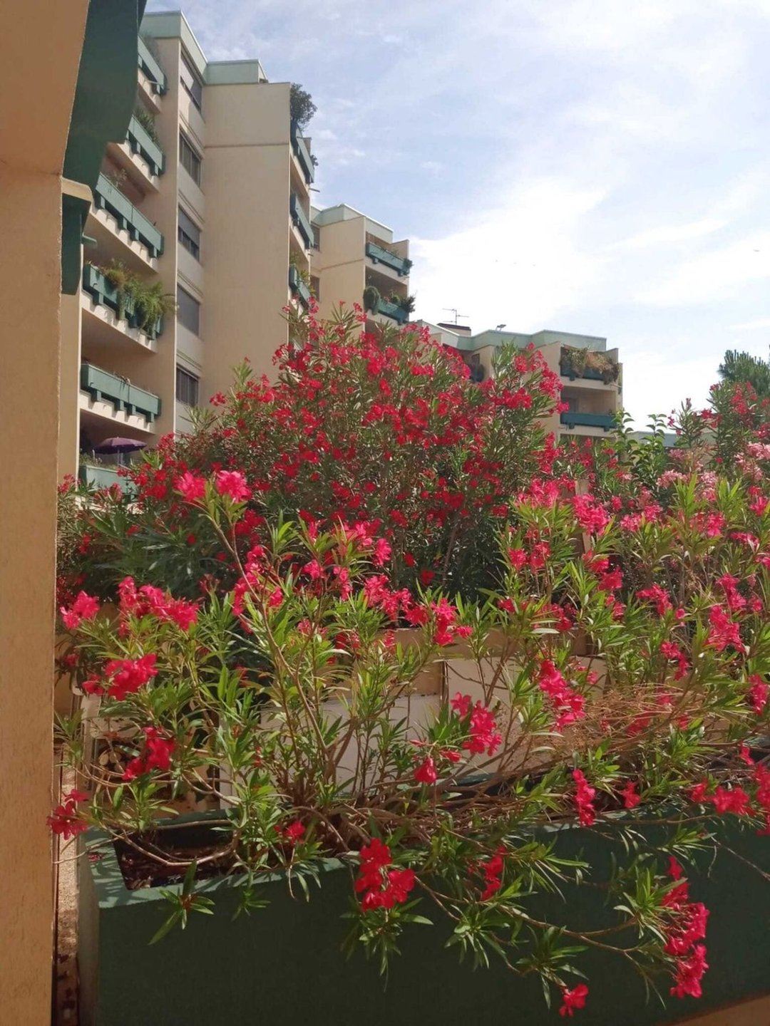 Appartement à vendre, 110m², Montpellier