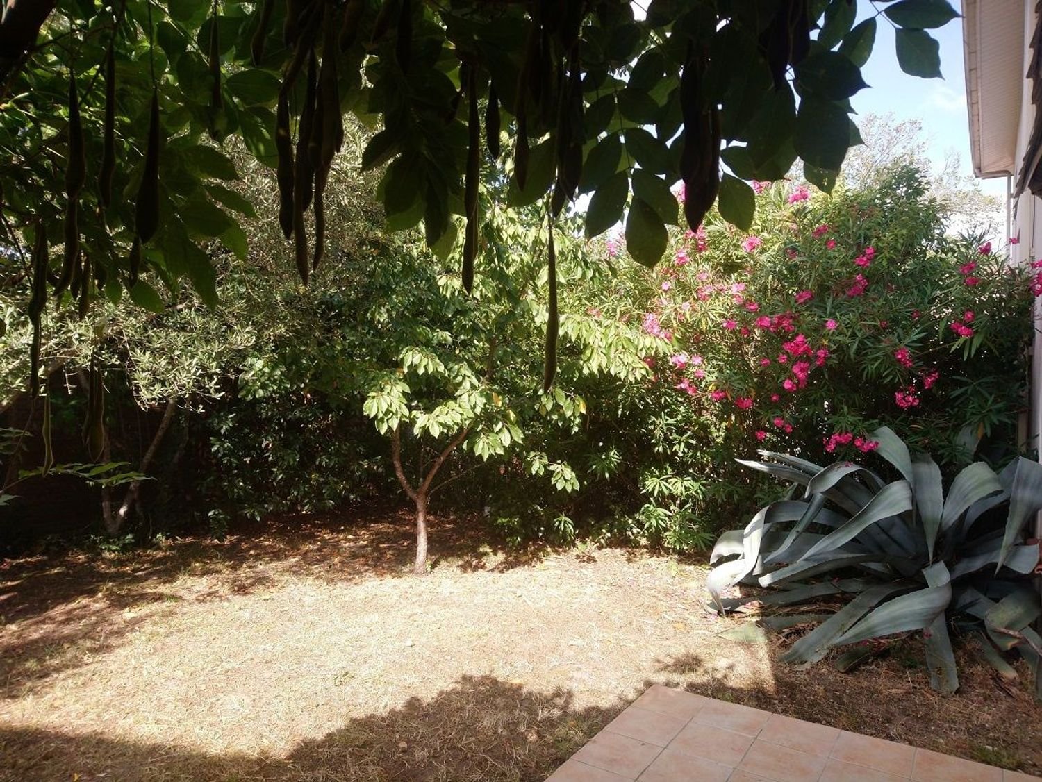 Maison à louer, 86m², Toulouse