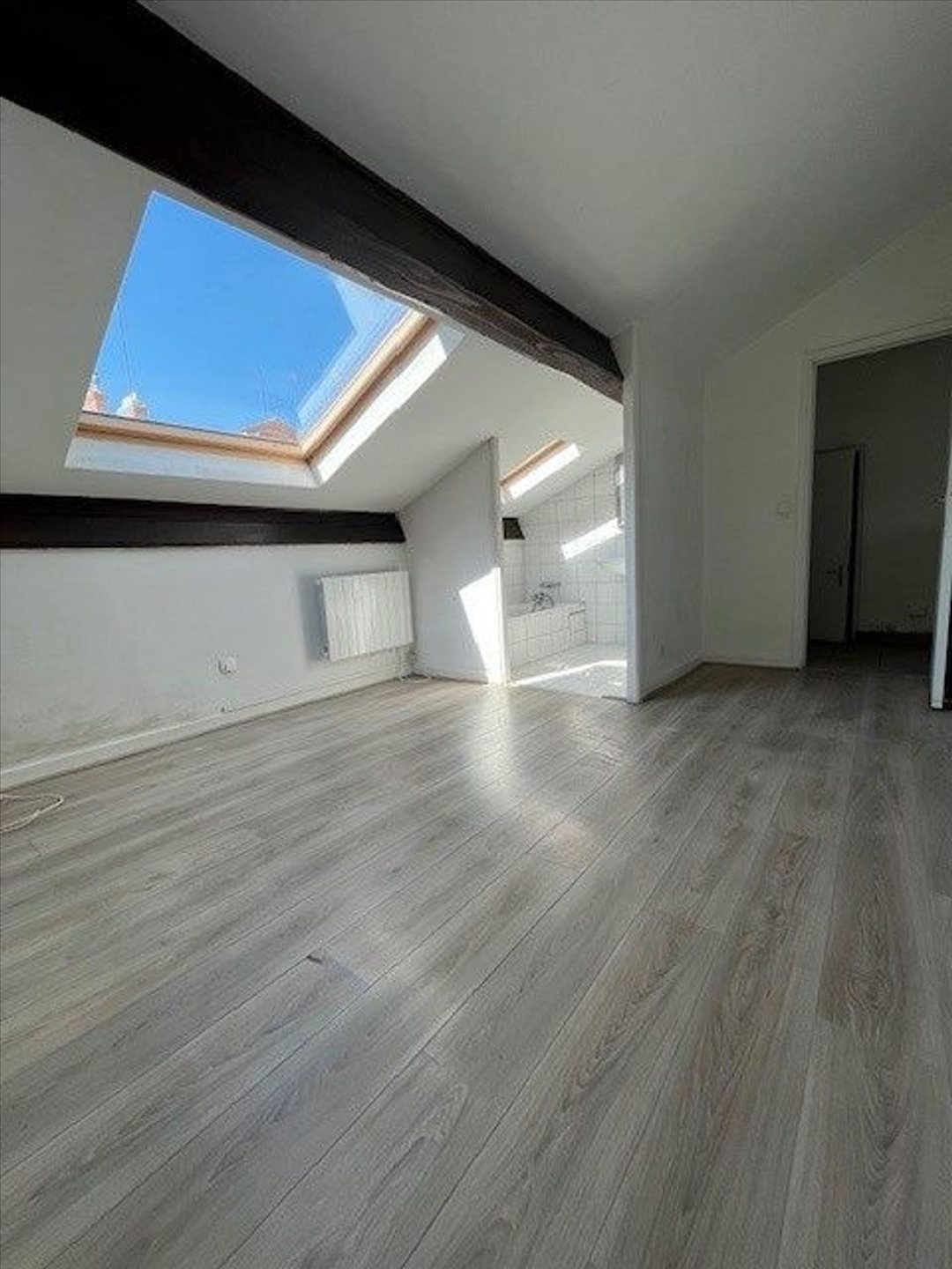 Appartement à vendre, 50m², Villeurbanne