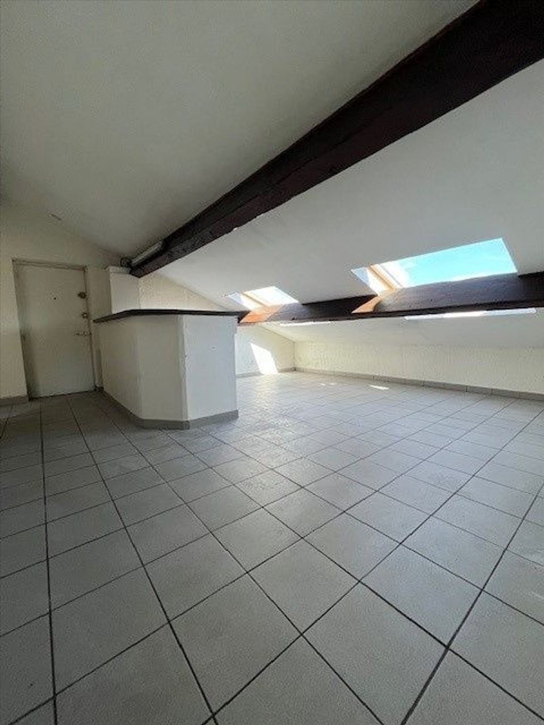 Appartement à vendre, 50m², Villeurbanne