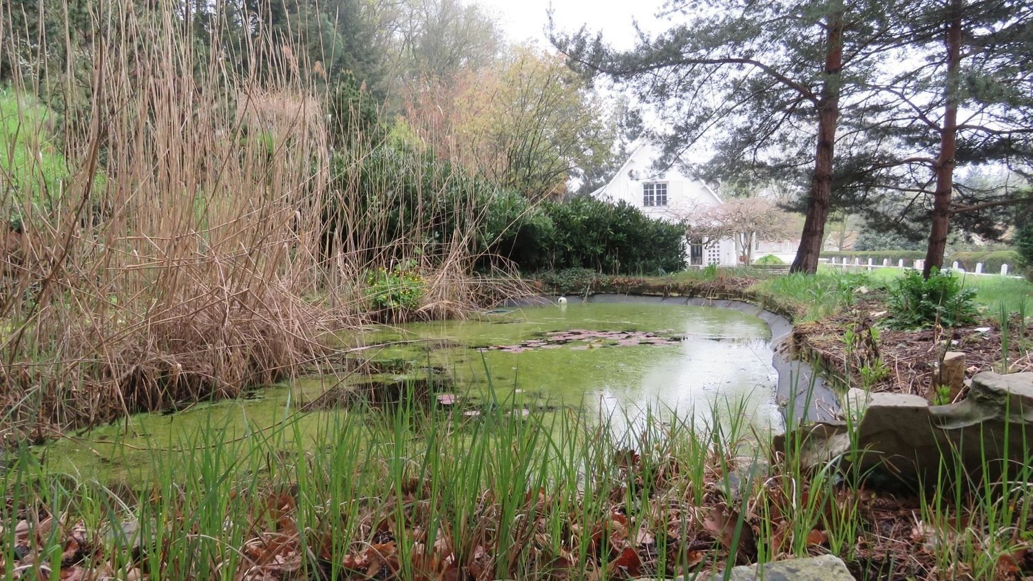 Maison à vendre, 178m², Droue-sur-Drouette