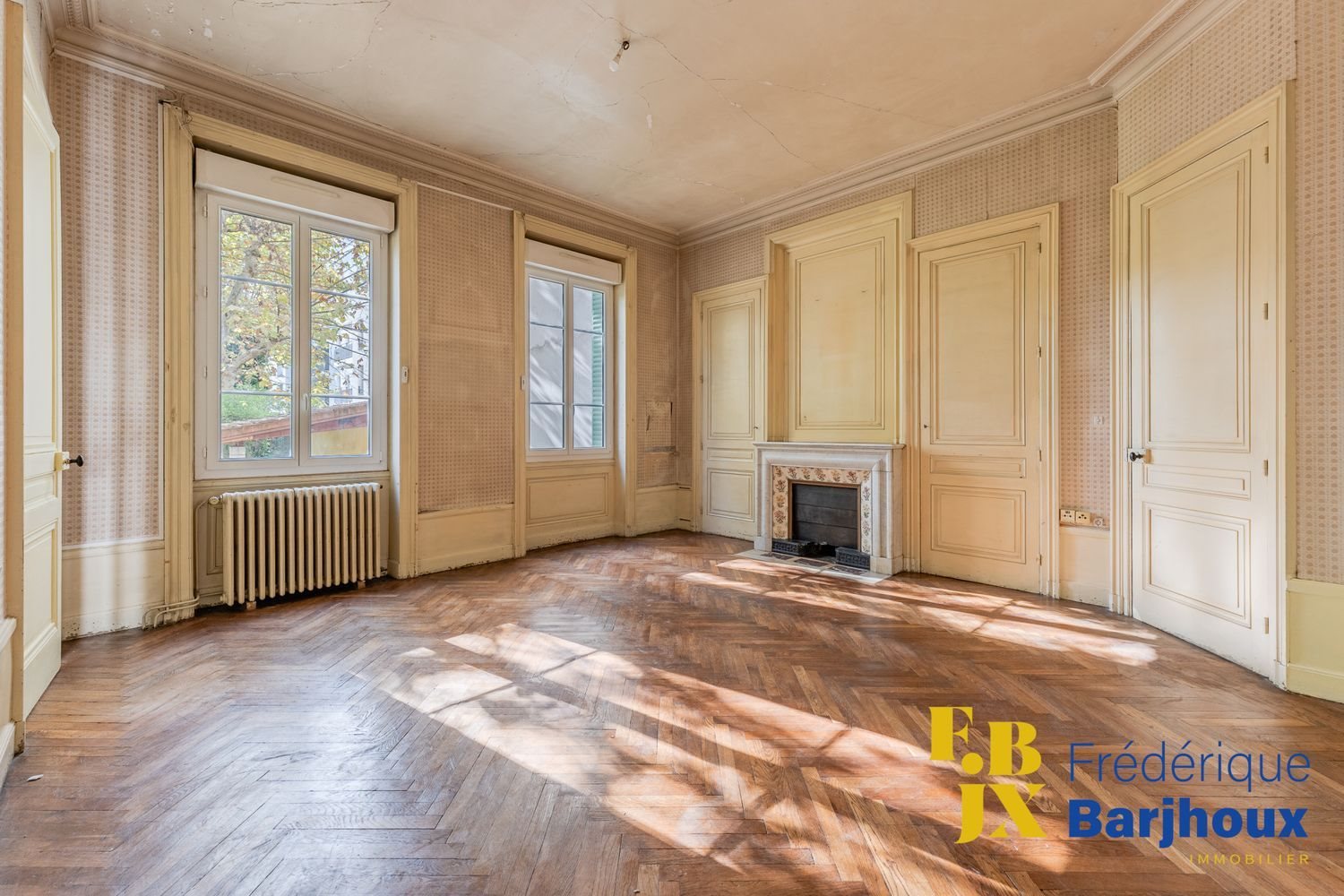 Appartement à vendre, 120m², Villeurbanne