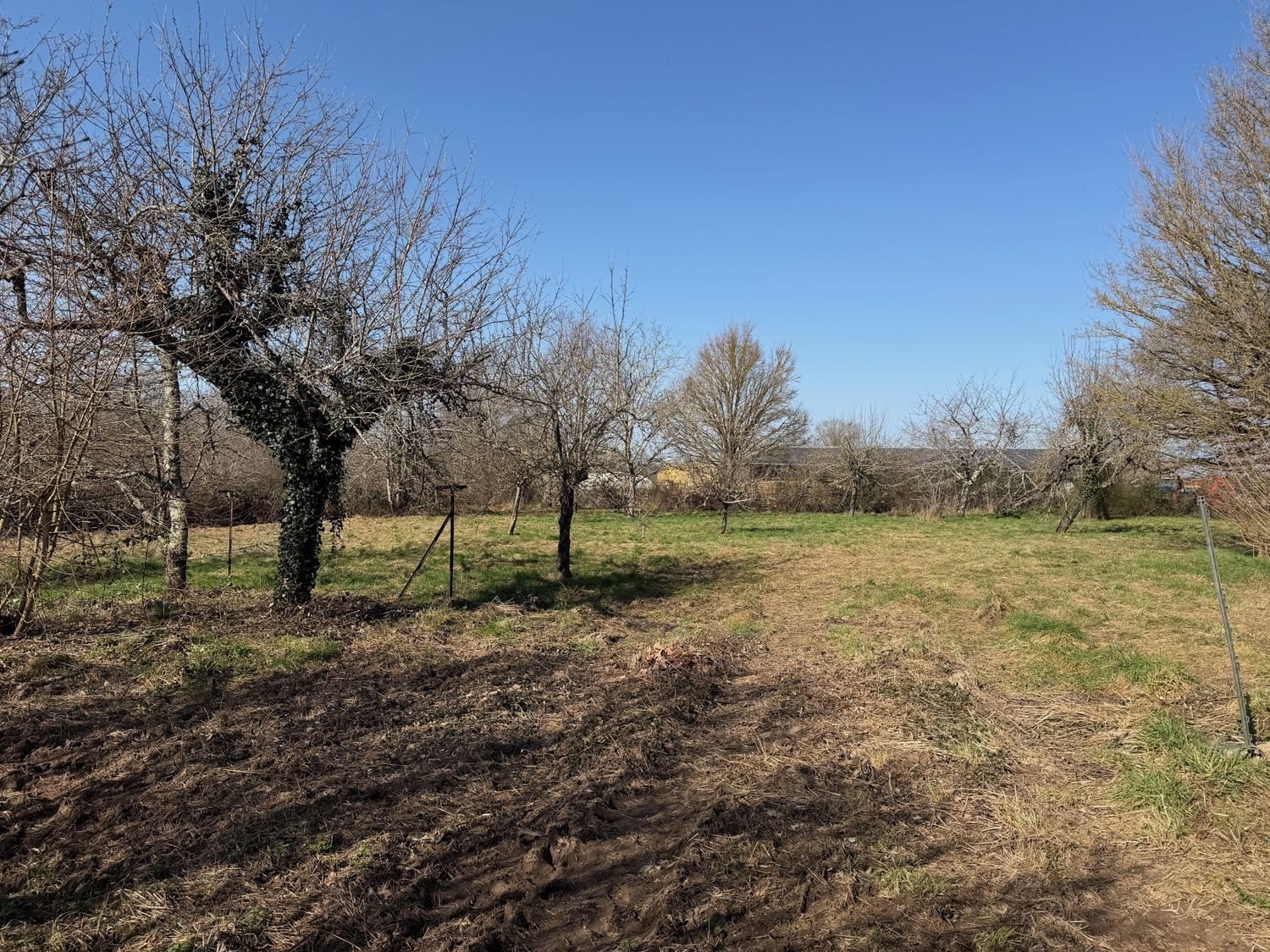 Maison à vendre, 100m², La Petite-Marche