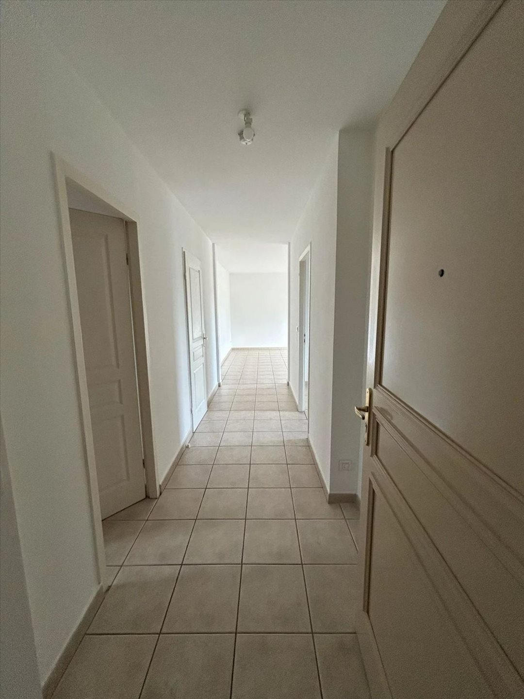 Appartement à louer, 73m², Lucciana