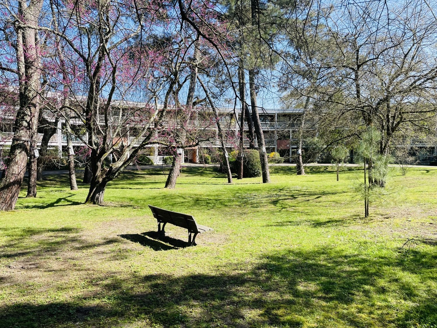 Appartement à vendre, 87m², Le Bouscat