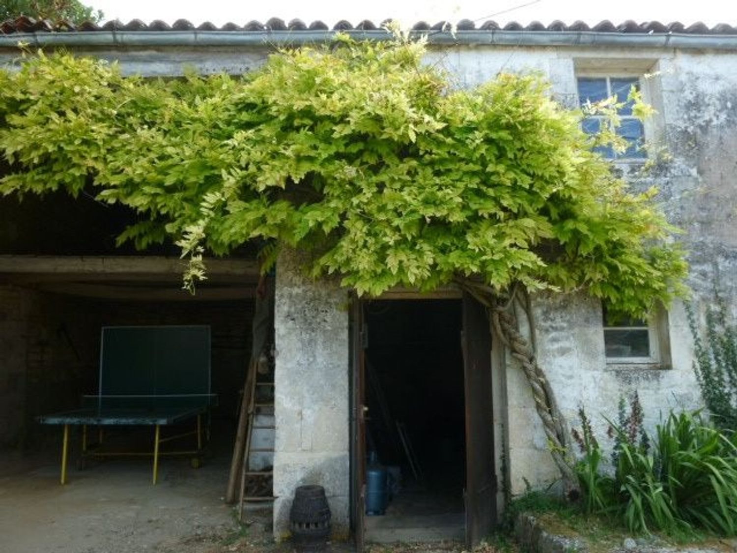 Maison à louer, 180m², Port-d'Envaux