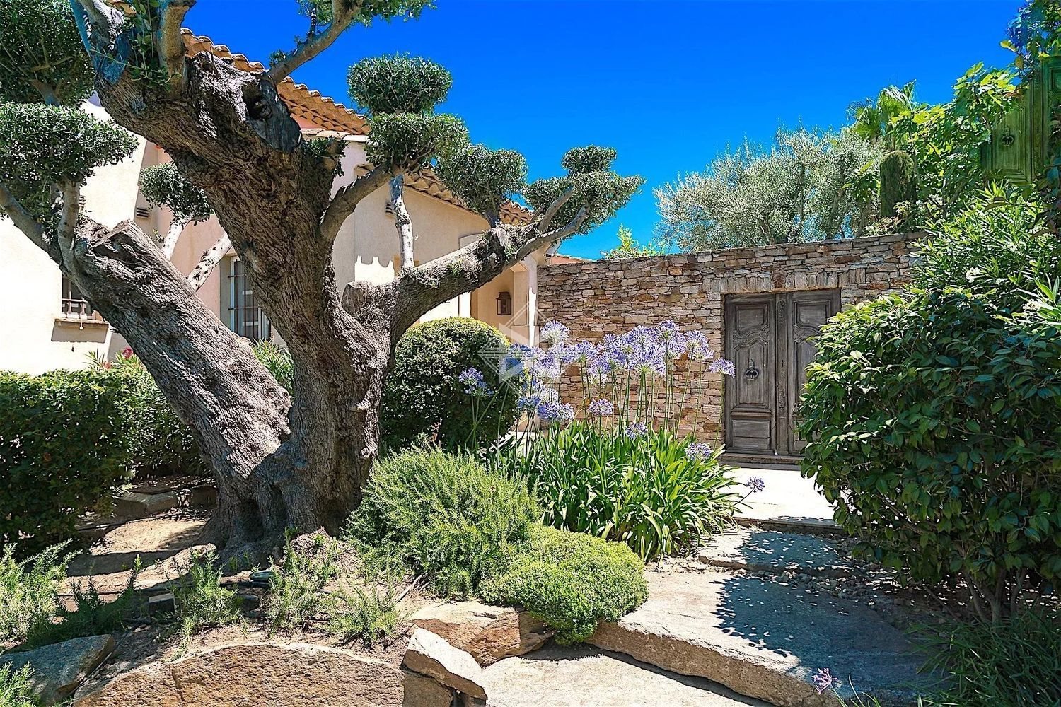 Maison à louer, 315m², Gassin