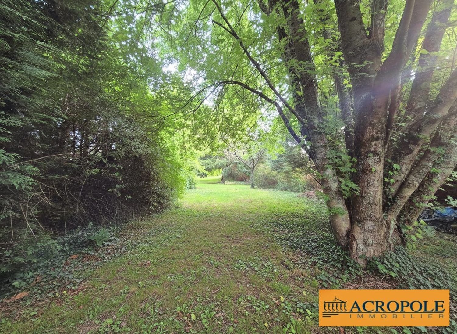 Maison à vendre, 120m², Oizon